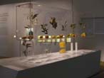 ...in der Ausstellung des Ethnologischen Museums